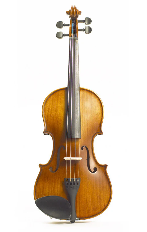 Stentor Graduate Violin Outfit 4/4 - Image 3